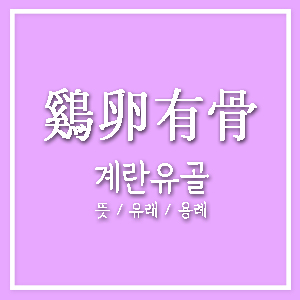 계란유골 鷄卵有骨