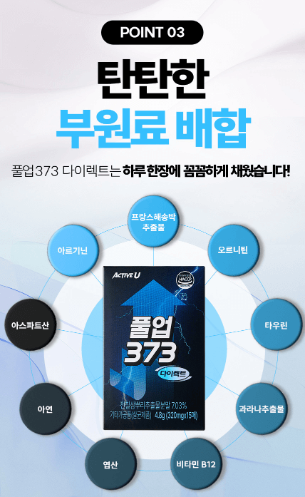 풀업373다이렉트필름형2