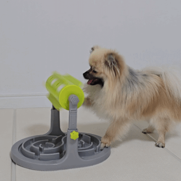 두 발로 노즈워크 장난감을 돌리는 강아지