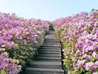 남원 봉화산 철쭉 산행 주차장 등산코스_10