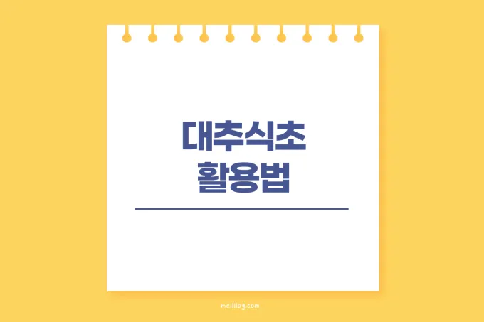 대추식초 활용법