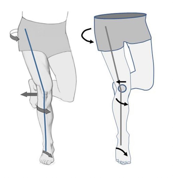 달리기와 무릎 회전