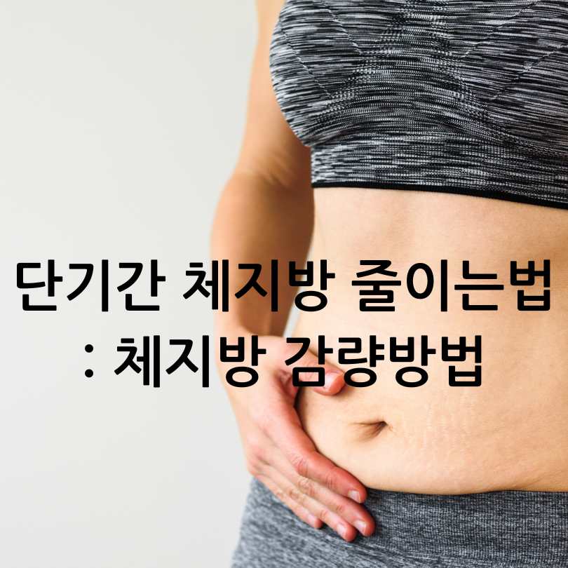 단기간 체지방 줄이는법