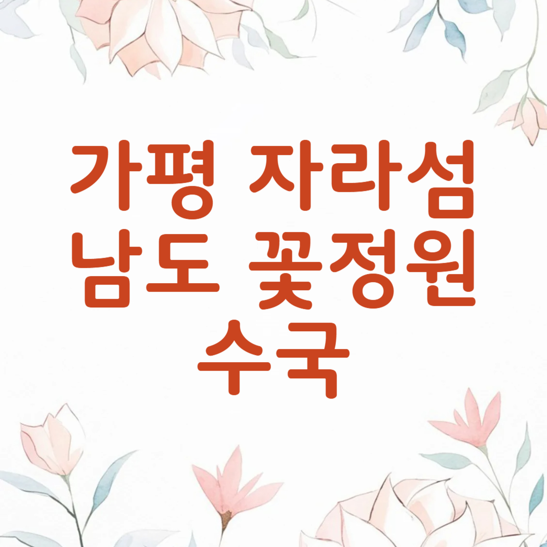 가평 자라섬 남도 꽃정원 수국