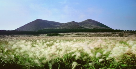 가을 제주여행&amp;#44; 나만의 취향대로 즐기는 7가지 방법