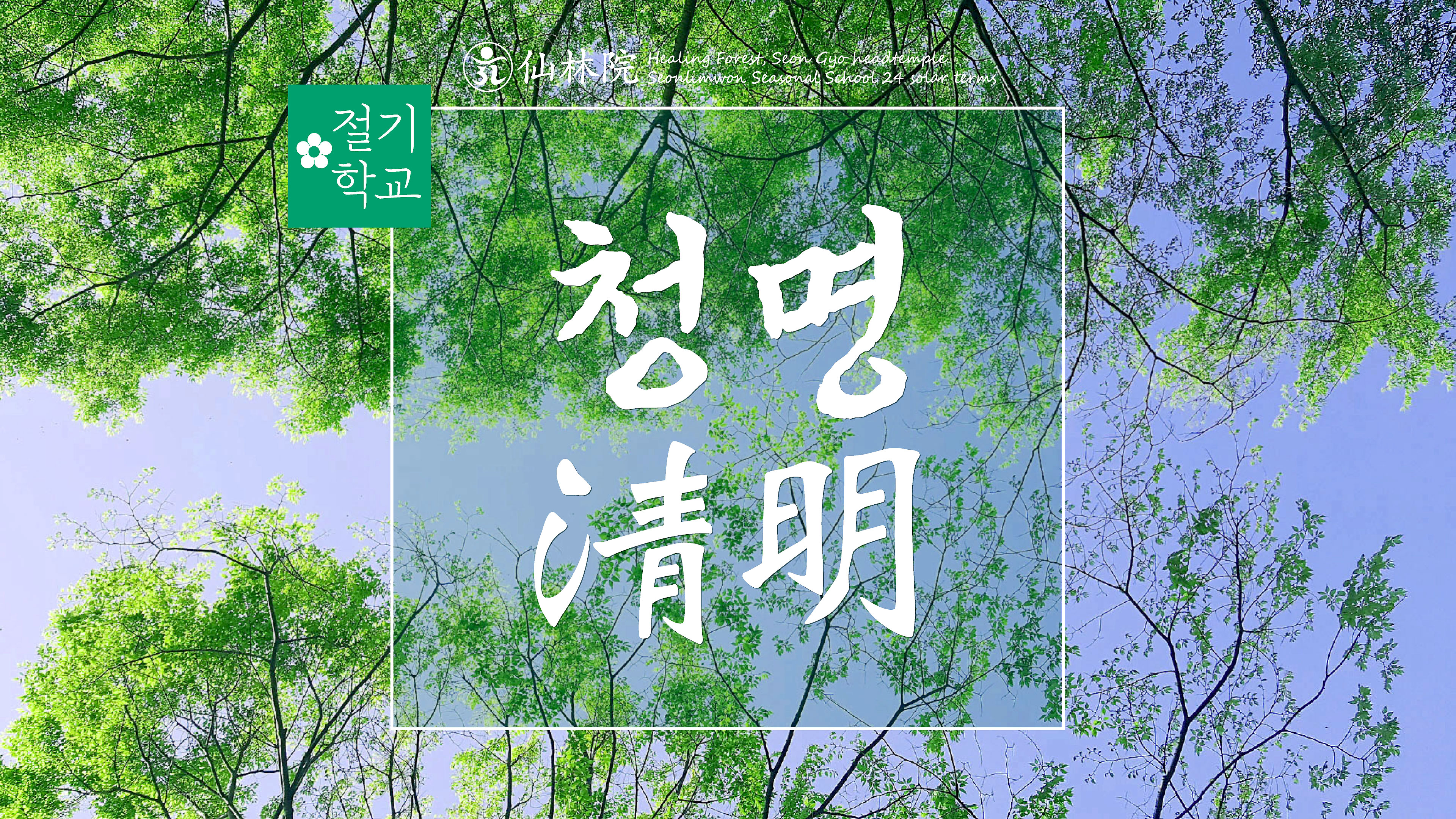 선교 청명, 24절기, 선도수행, 취정원사님, 절기법문, 한국선도, 仙敎, 仙道, 선교총림선림원, 절기학교