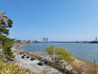 경포대 해수욕장 여름 물놀이 여행지와 맛집 코스 정리_12