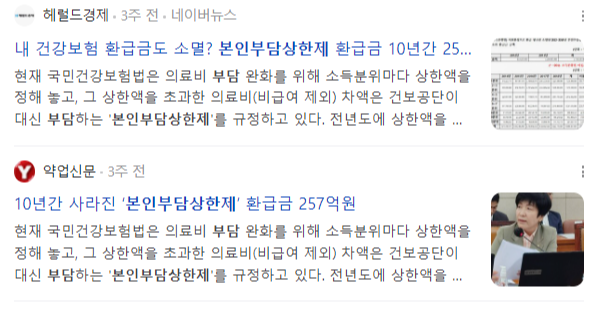 본인부담상한제