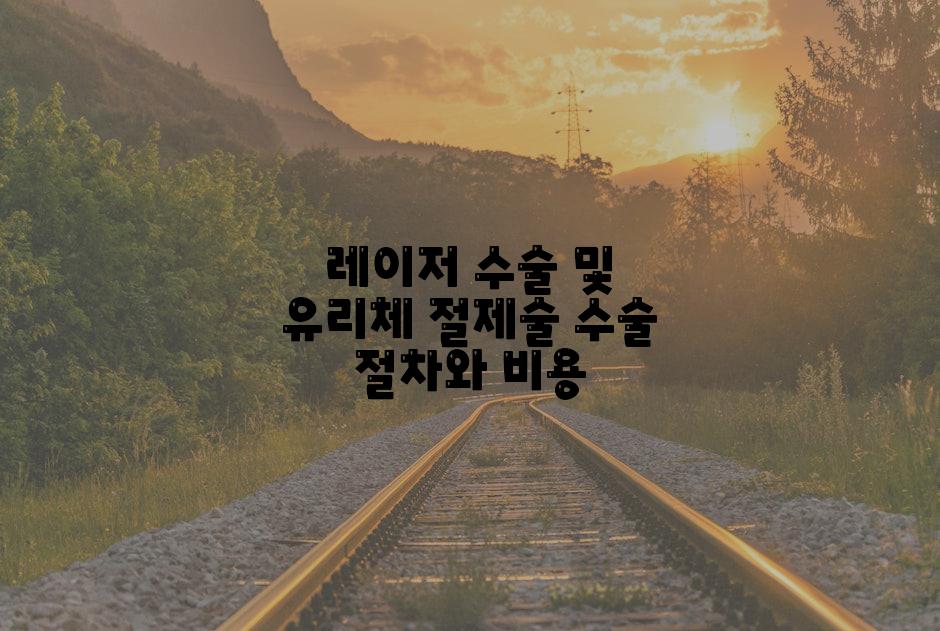 레이저 수술 및 유리체 절제술 수술 절차와 비용