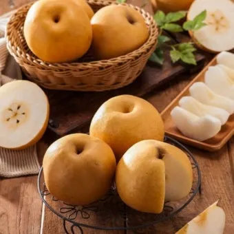 나주배 효능 특징 수확시기제철손질먹는방법나주배 보관 방법 안내_7