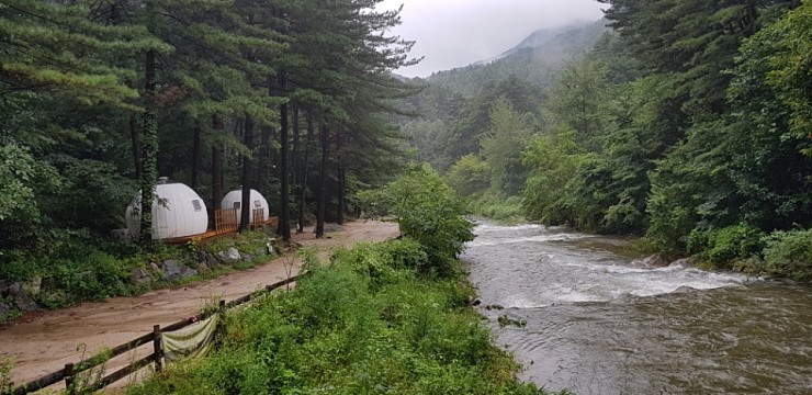 힐링별밤수목원캠핑장 소개