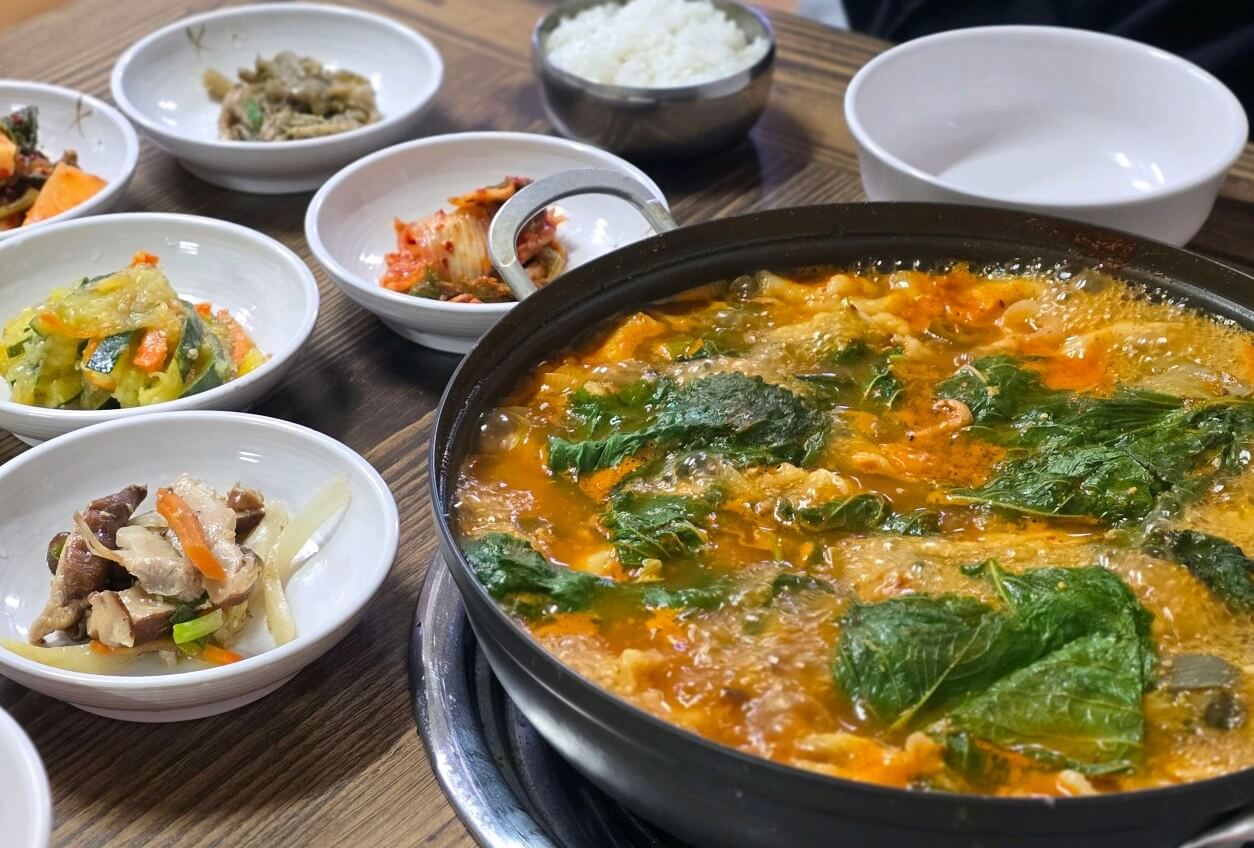 생방송투데이 3782회 인생식당 강원 평창 닭볶음탕 맛집 산밑에집