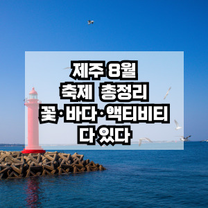 2025 제주 8월 여름 축제