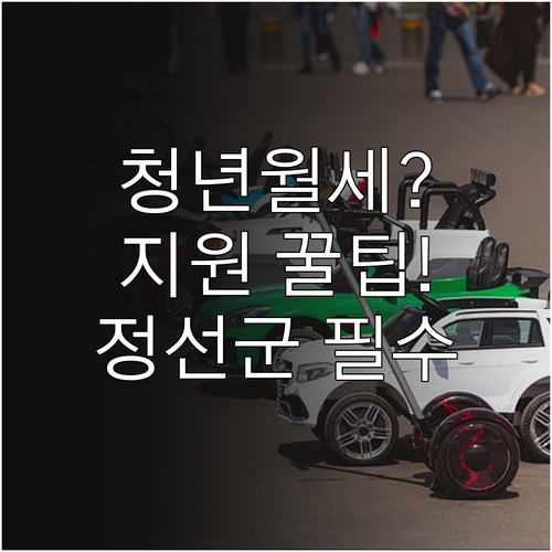 정선군 청년월세 지원 자주 묻는 질문..