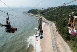 짚트랙 업체 정보