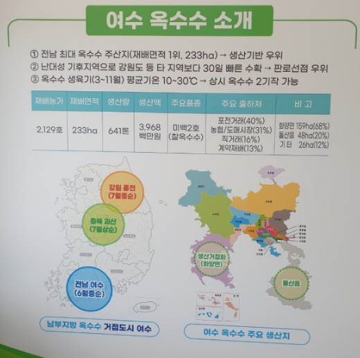 제3회 섬섬여수옥수수 페스티벌 특징