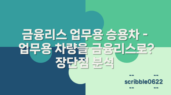 금융리스 업무용 승용차