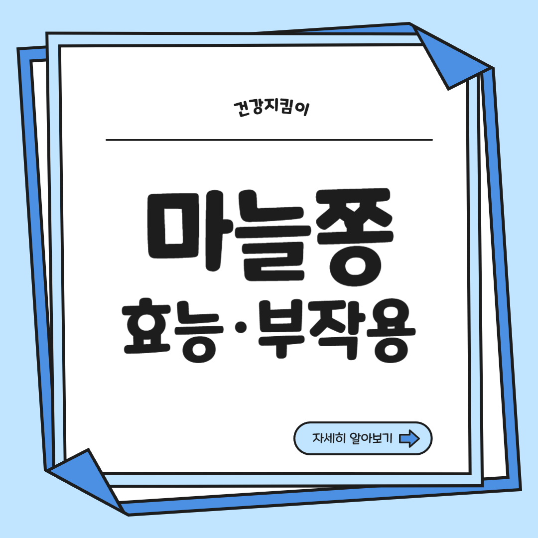 마늘쫑 효능 부작용 고르는법 칼로리