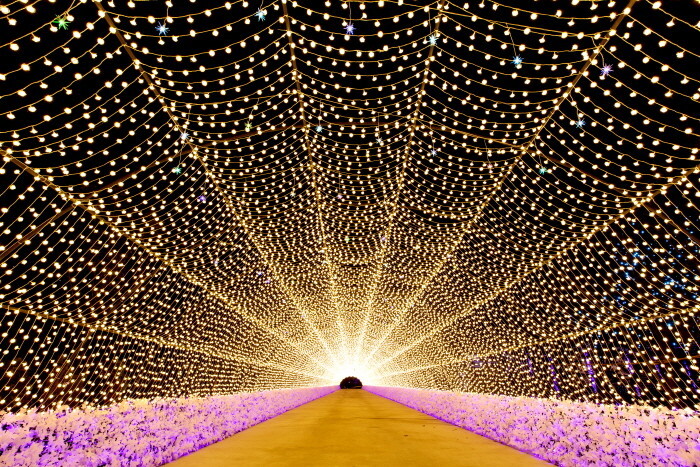 별빛정원 터널사진