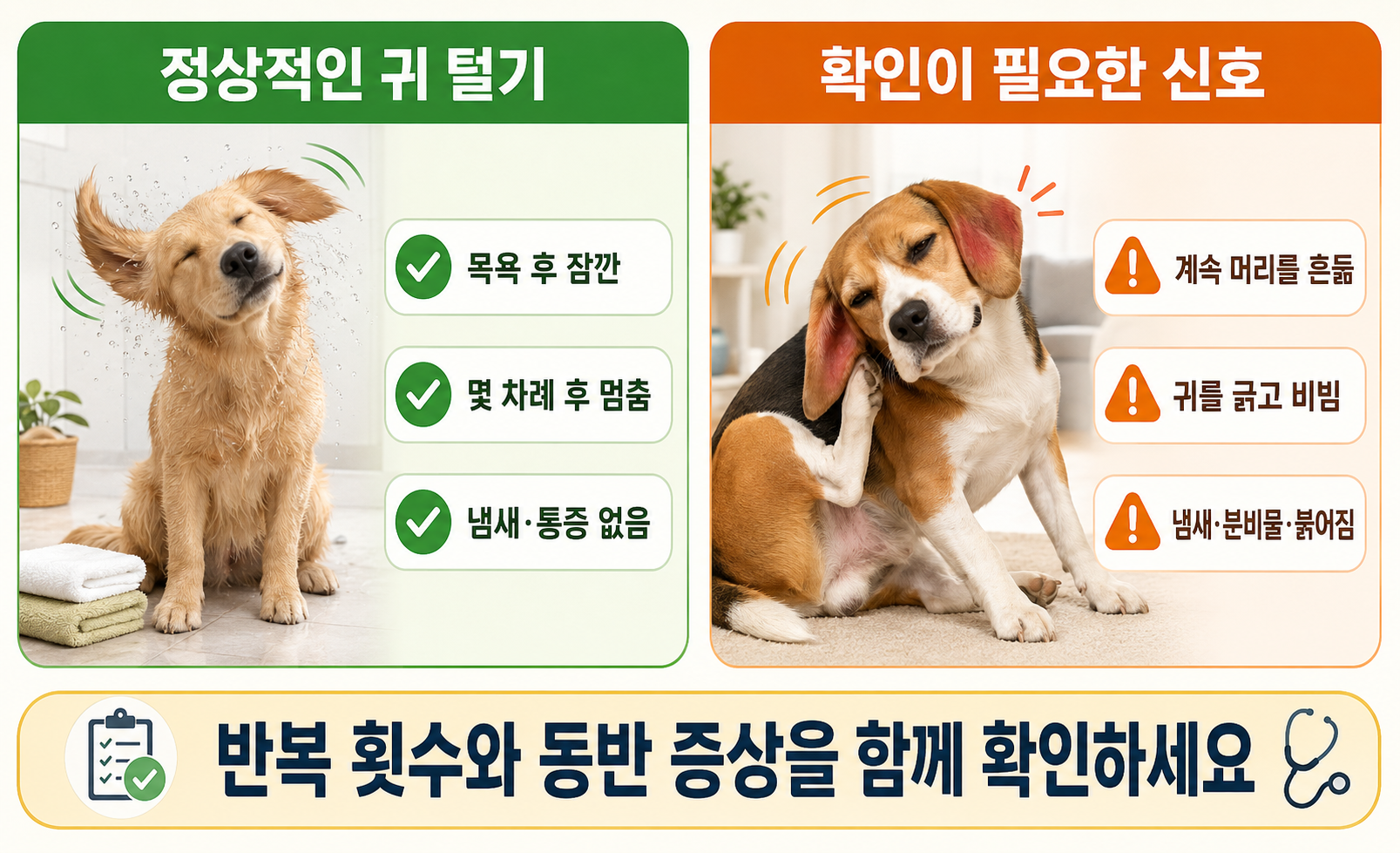 강아지의 정상적인 귀 털기와 반복적인 머리 흔들기 및 귀 긁기 이상 신호 비교