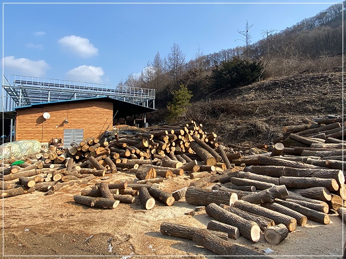 낭성캠핑장 전경