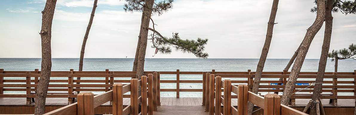 강릉 송정해변 바다