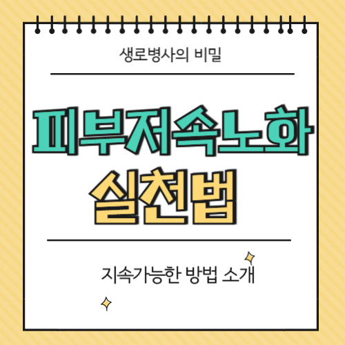 피부 저속노화 실천법(생로병사의 비밀 974)