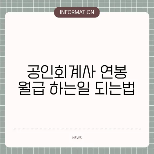 공인회계사 연봉 월급 하는일 되는법