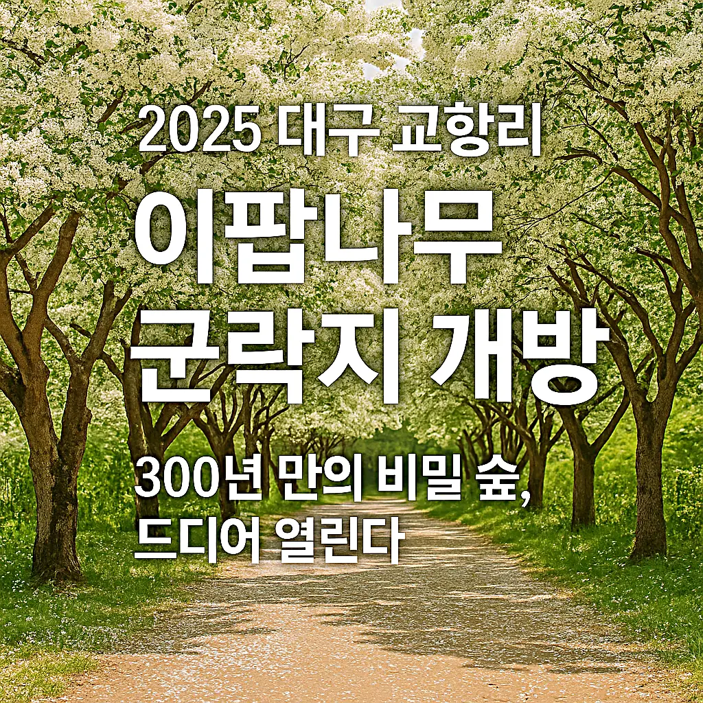 대구 교항리 이팝나무 군락지