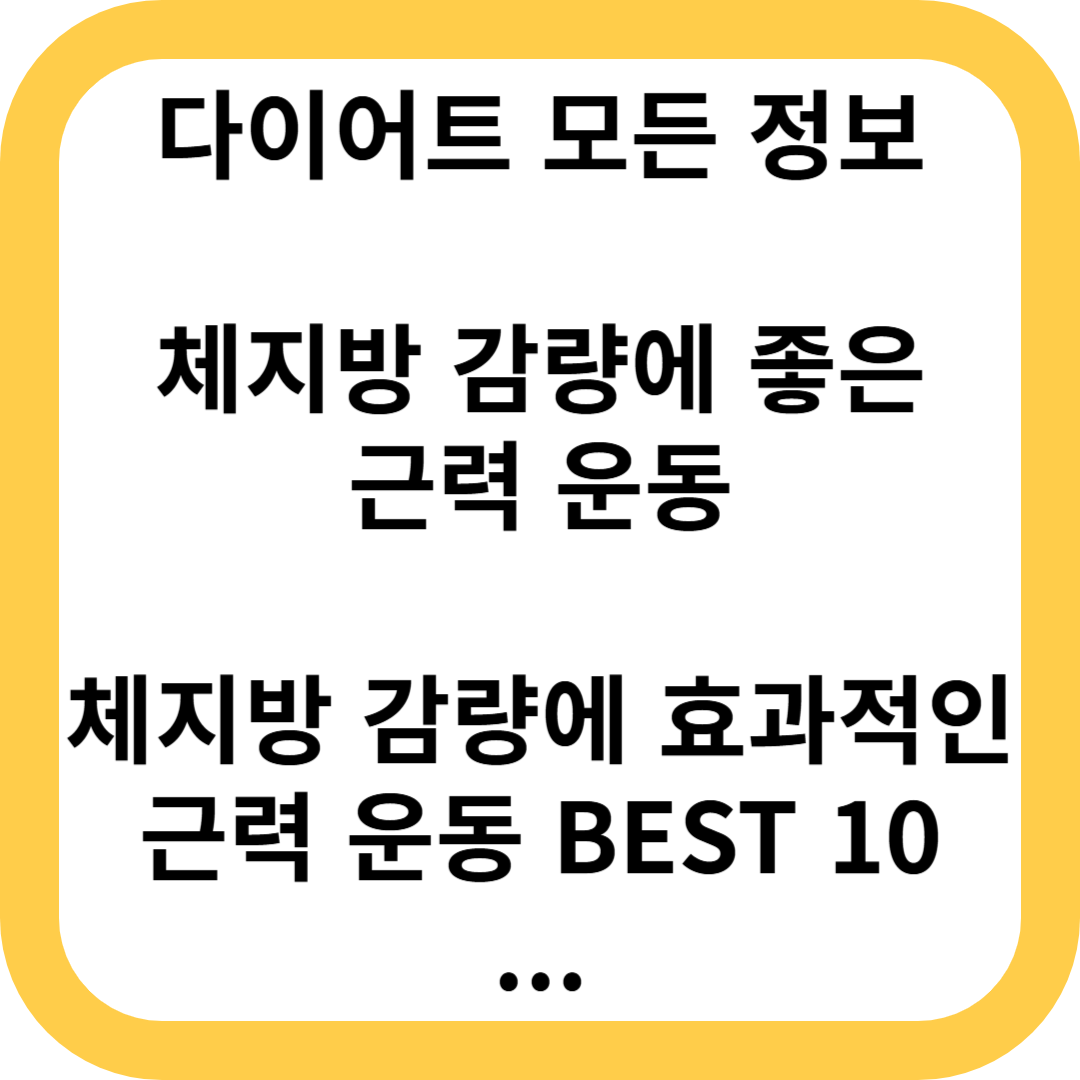 체지방 감량에 좋은 근력 운동