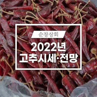 영양 고추 가격 시세 10근가격 현재 농산물 시세_2