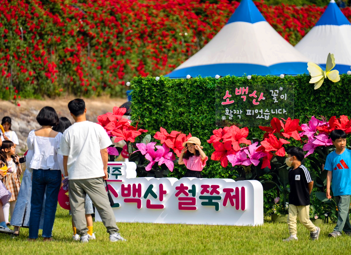 영주 소백산 철쭉제