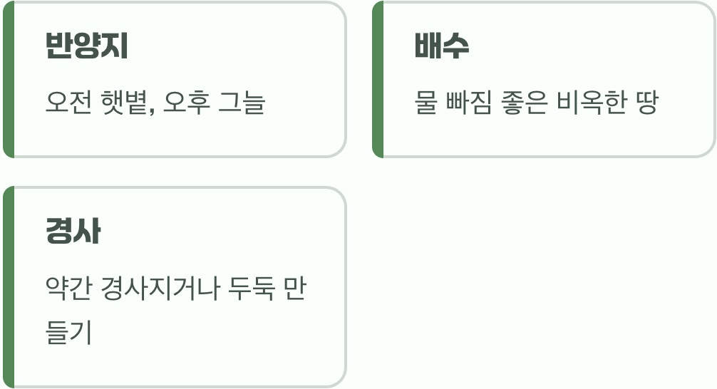 2. 왕의 자리, 어디에 모실까?