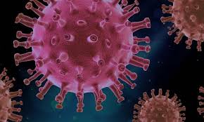 신종인간코로나바이러스 증상