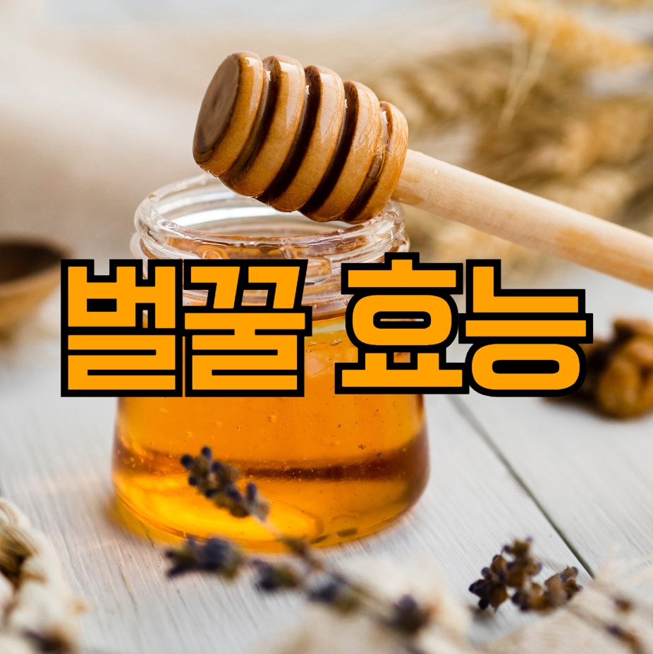 벌꿀 효능