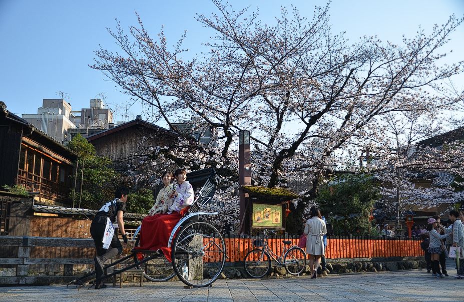 도쿄 벚꽃축제 명소 BEST 3