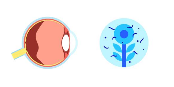 비문증 치료방법&amp;#44; 자연치유&amp;#44; 원인 총정리 (2024ver)