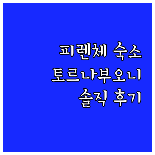 피렌체 호텔 추천 IL 토르나부오니 