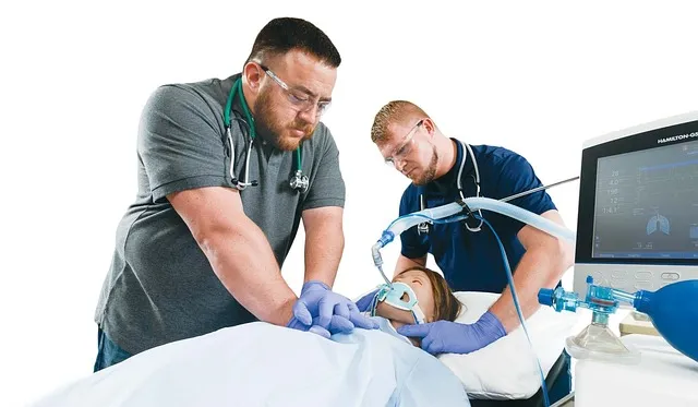 의료비 환급금 조회, 신청 방법, 지급일