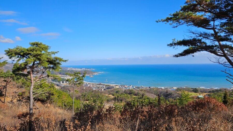 골프장 경험담 경주 골프존 감포cc 바다를 품은 오션뷰 하나뿐인 18홀 내내 동해바다를 보는 골프장