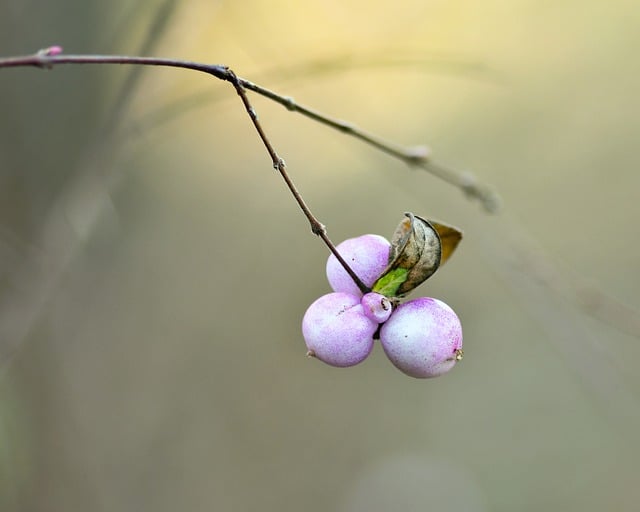 전국 날씨 예보 기온 눈 비 예보