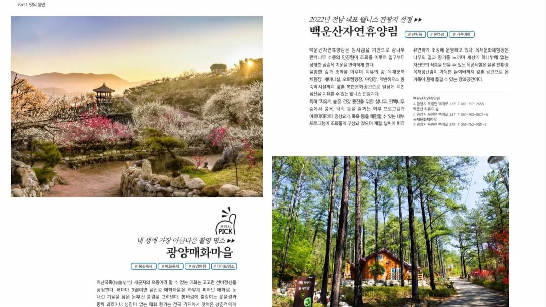 국내 여행사