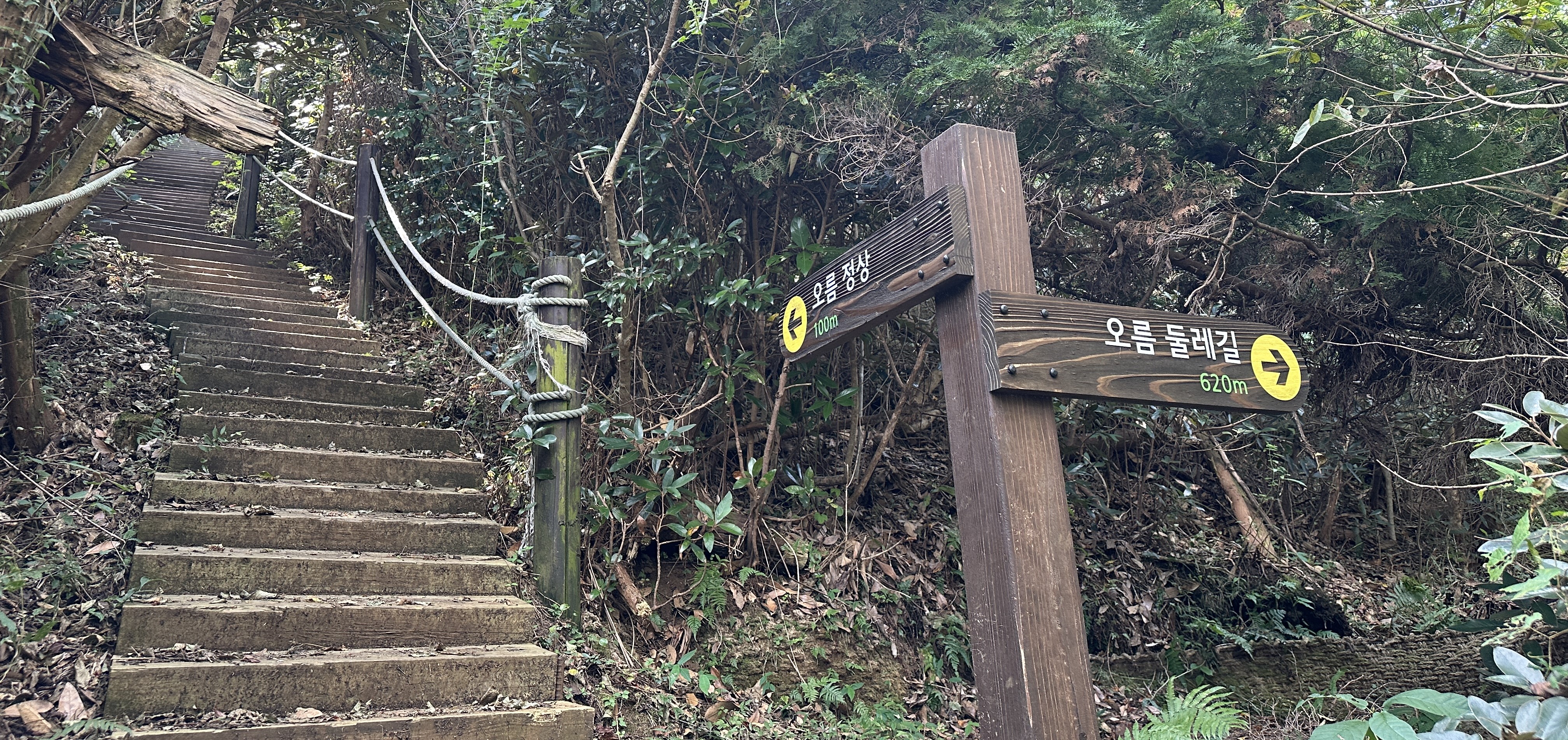 둔지오름 탐방로