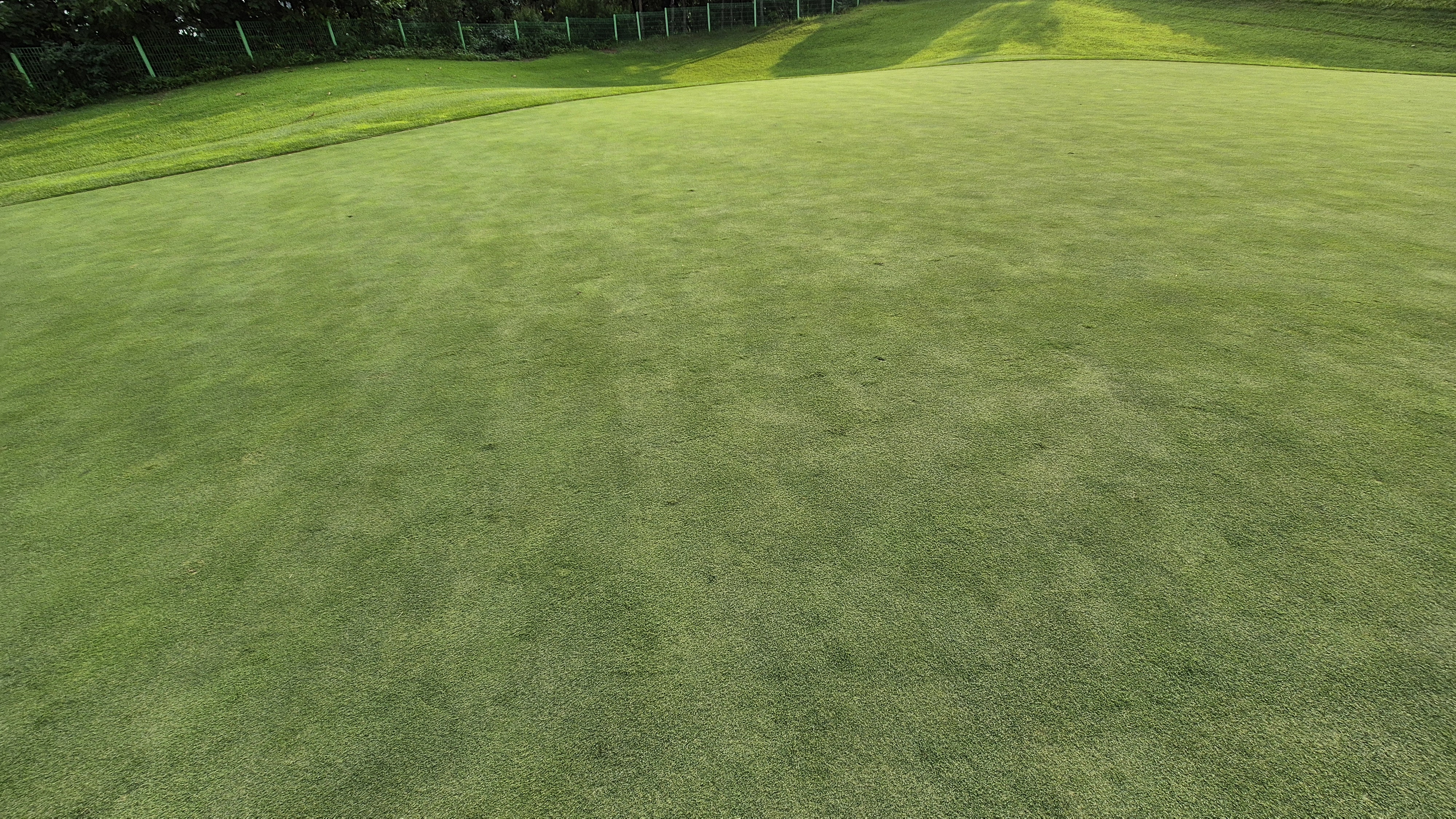 참밸리cc 라운드 후기