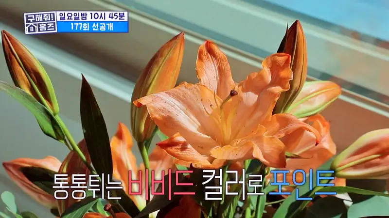 구해줘홈즈 과천 수지 분당 전세 7억대 대정원 신발 벗고 댄싱 포룸 10점 만점에 옵션 수리했남 아파트 파크 핸즈 업 매물 리모델링 인테리어 최종 선택 소개