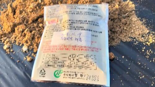 부추재배-파종시기-수확시기