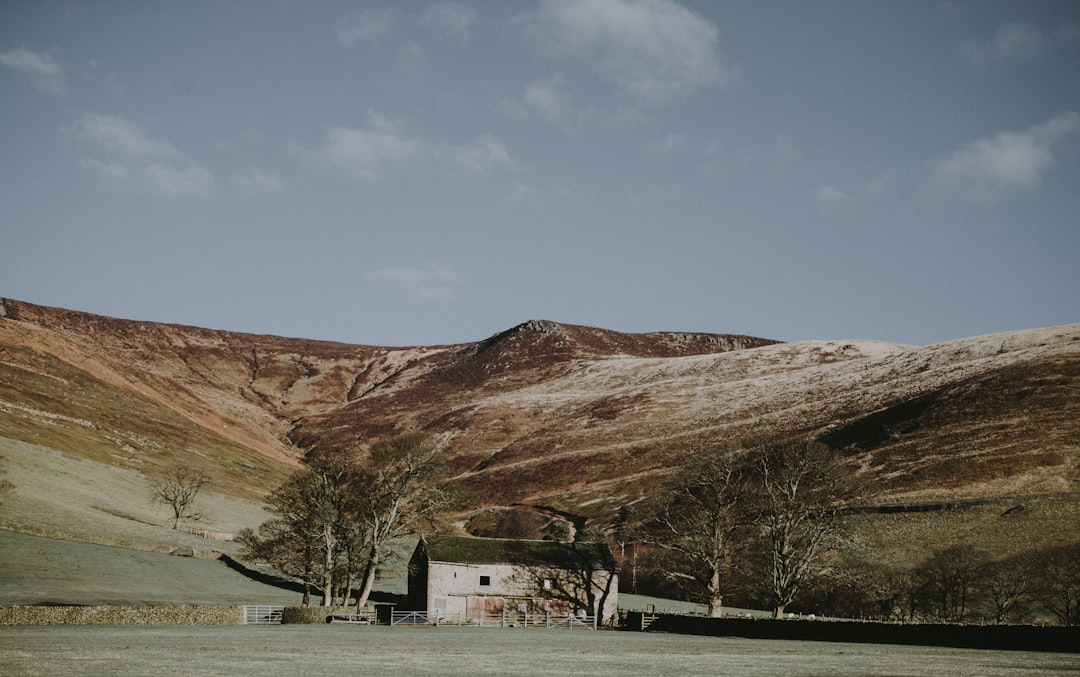 Hillside