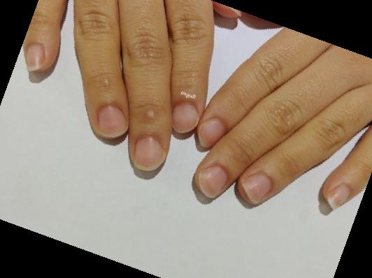 손톱 바디 기르기