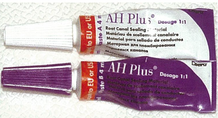 대표적으로 사용되는 canal sealer의 사진