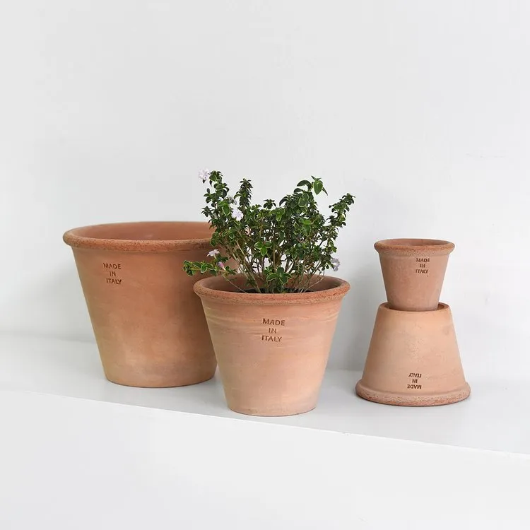 토분 관리 세척요령 흰가루제거 배수력장점 물주기 타이밍 맞추기_3